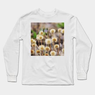 Seedheads Long Sleeve T-Shirt